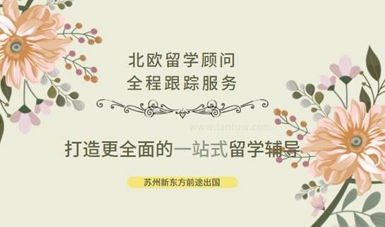 南京新东方前途出国北欧留学辅导