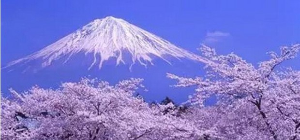 武汉新东方前途出国