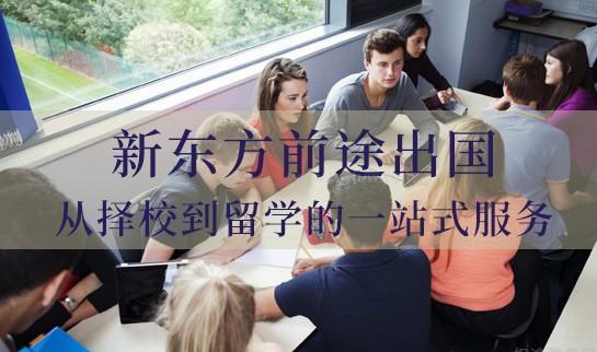 新东方前途出国怎么样