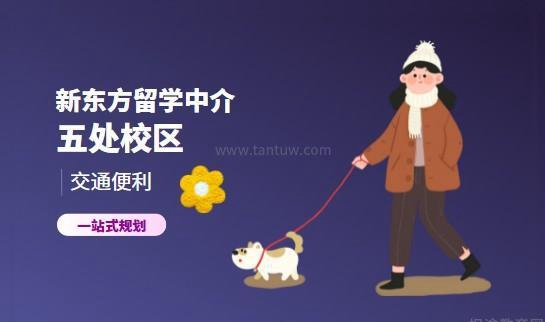 南京新东方前途出国