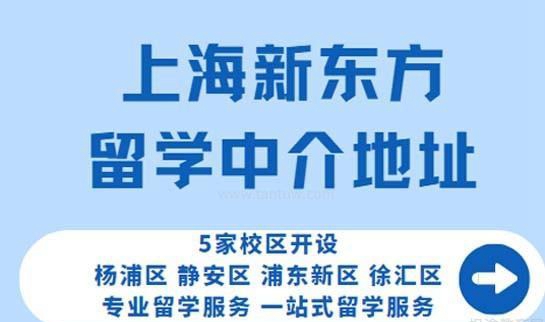 南京新东方留学中介地址