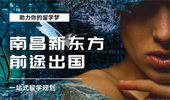 合肥新东方前途美国