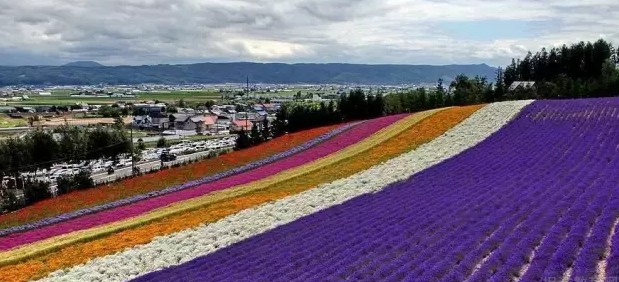 苏州樱花国际日语