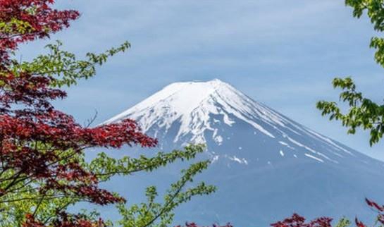 苏州樱花国际日语