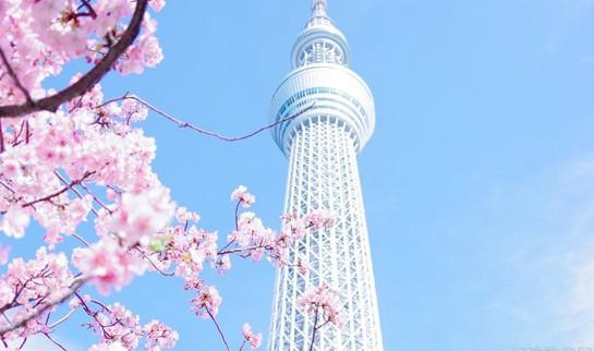 日语