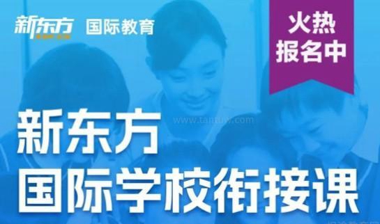 新东方国际教育