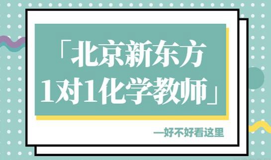 郑州新东方中小学一对一化学老师