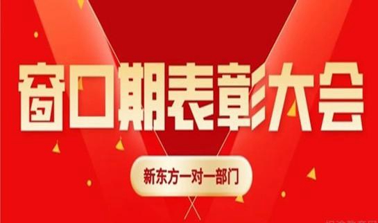 郑州新东方优能中学