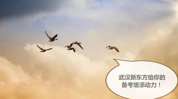 南京新东方学校