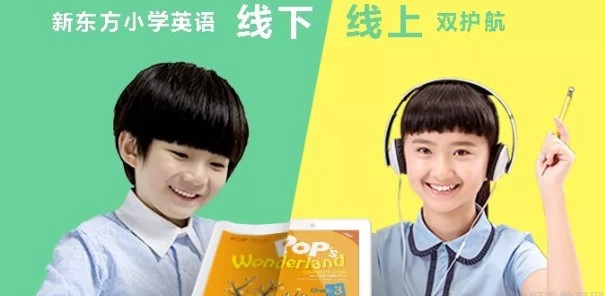 郑州新东方泡泡