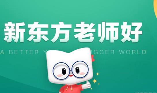 天津新东方老师