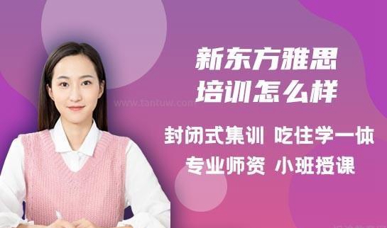 新东方雅思