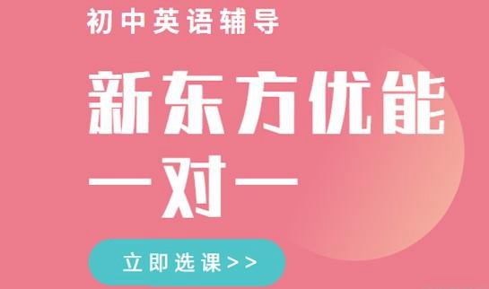 郑州新东方优能一对一