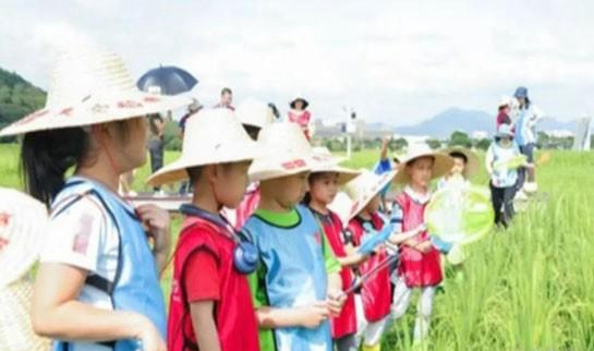 上海新东方学校