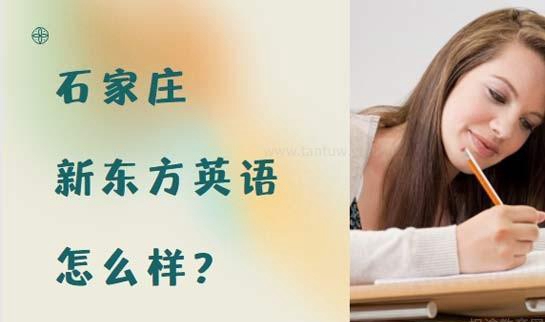 青岛新东方雅思口碑
