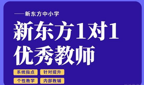 郑州新东方中小学一对一教师