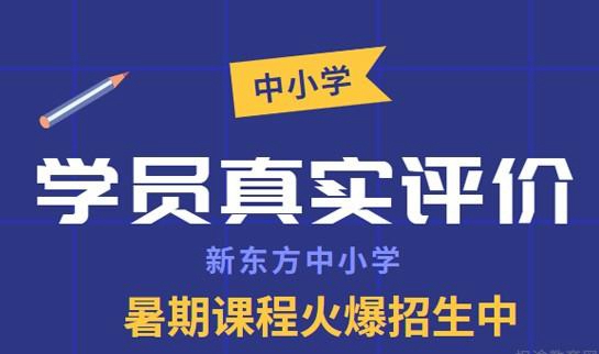 郑州新东方一对一