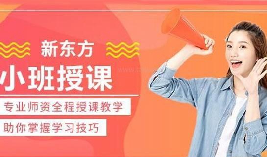 乌鲁木齐新东方英语