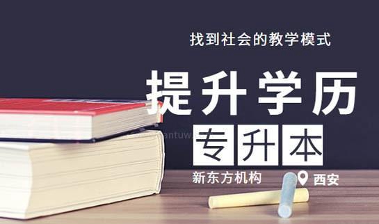 新东方专升本机构