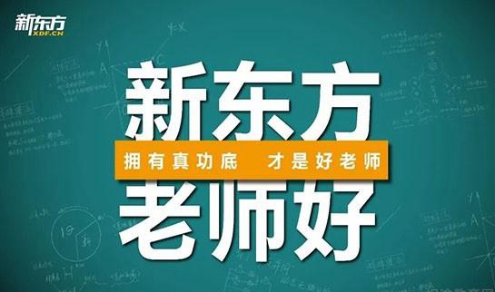 郑州新东方优能中学