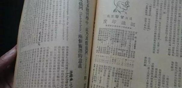 新东方学校来教你，该如何有效的进行读书