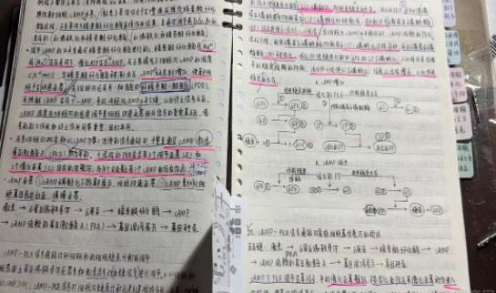 新东方考研