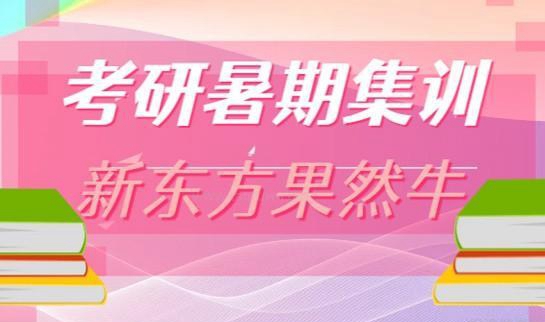 新东方考研服务