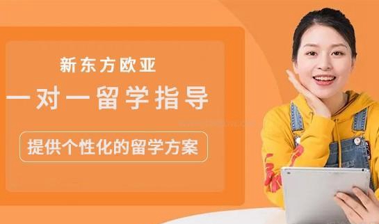 新东方欧亚服务