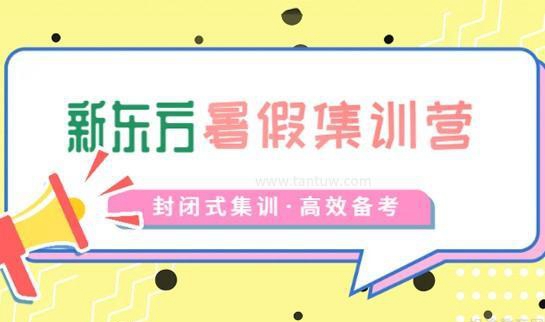 新东方考研服务