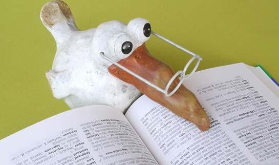 杭州新东方英语