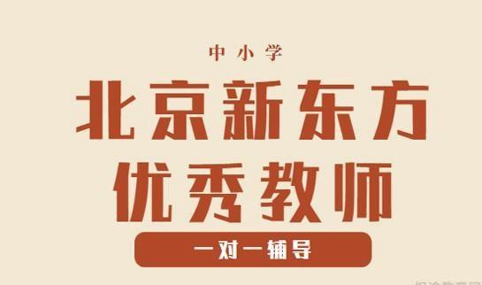 郑州新东方优能一对一教师