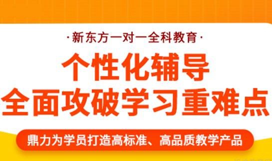 郑州新东方优能一对一