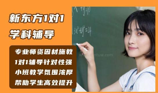 新东方辅导