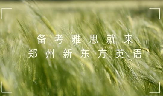 新东方雅思价目表