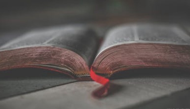 郑州新东方优能中学