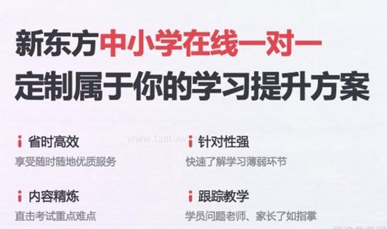 郑州新东方一对一