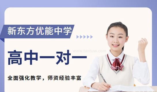 新东方优能中学