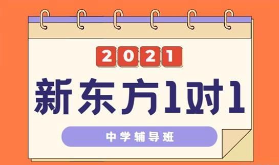 郑州新东方中小学一对一