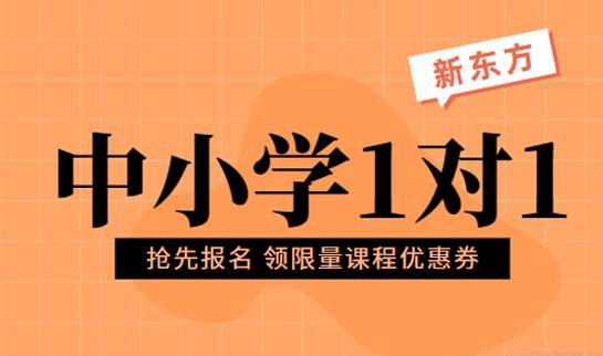 郑州新东方中小学一对一
