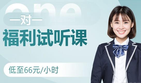 郑州新东方一对一试听课