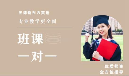 新东方英语一对一