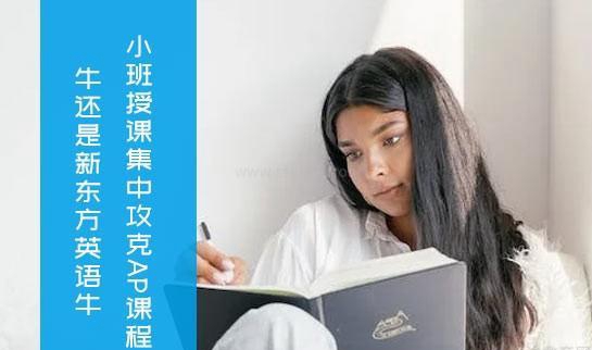 乌鲁木齐新东方英语学校