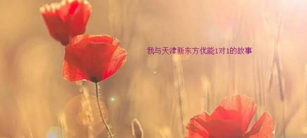 郑州新东方优能1对1