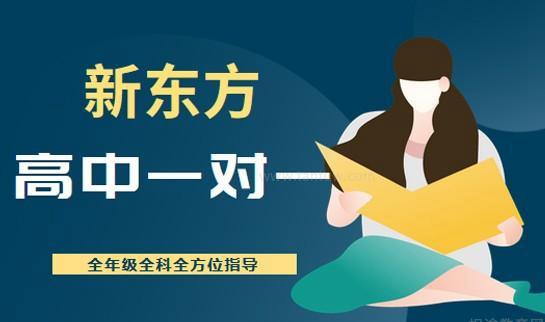 新东方一对一
