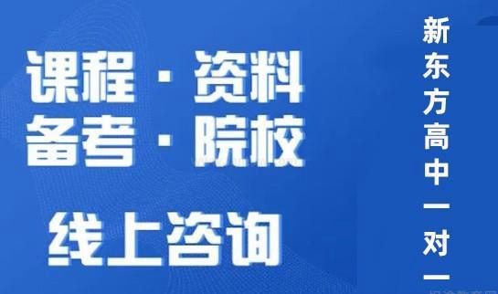 郑州新东方一对一