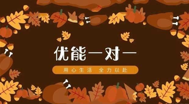 新东方优能中学