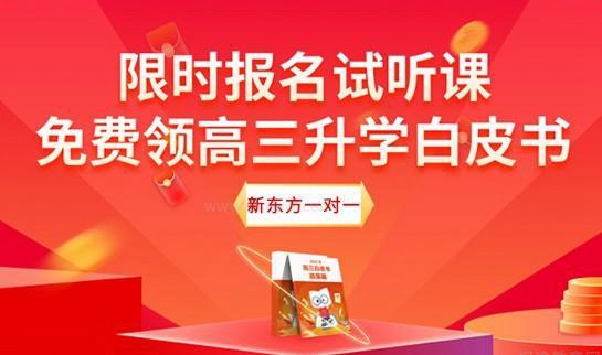 郑州新东方一对一