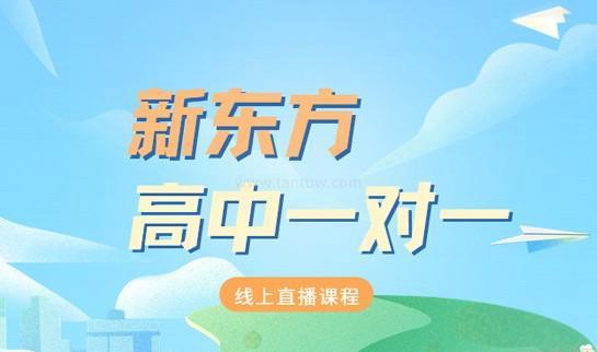 郑州新东方一对一