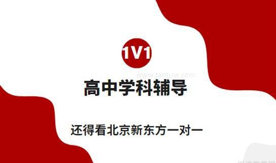 新东方一对一