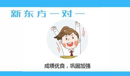 新东方一对一